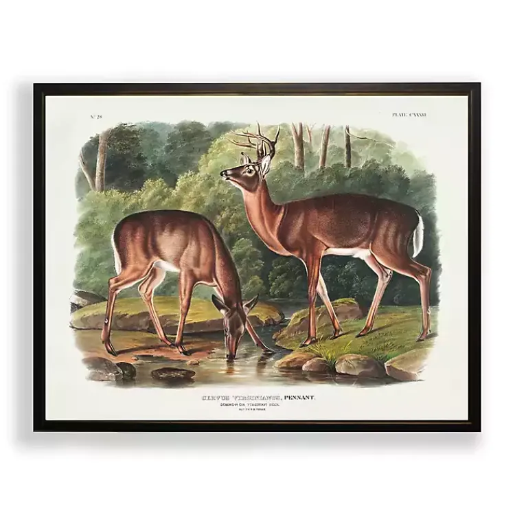 Framed Art-Kirklands Home Audubon Woodland Deer Framed Art Print