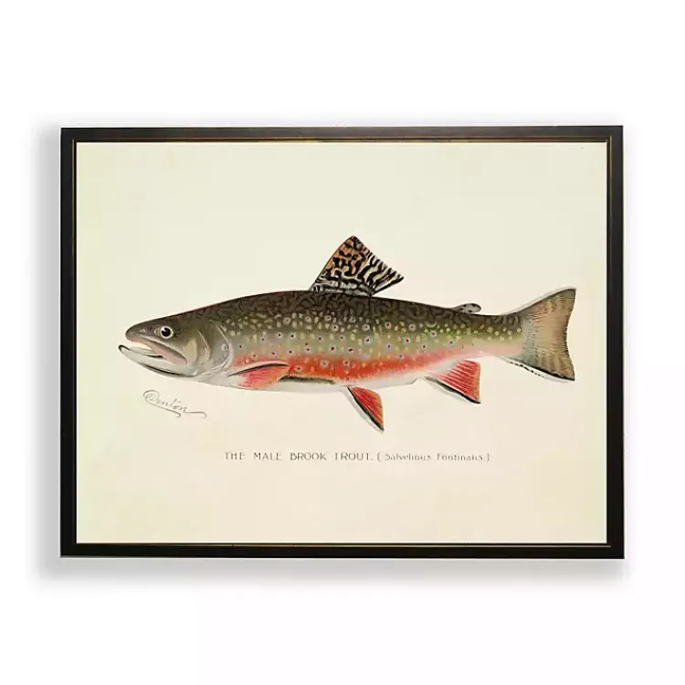 Framed Art-Kirklands Home Vintage Male Book Trout Framed Art Print