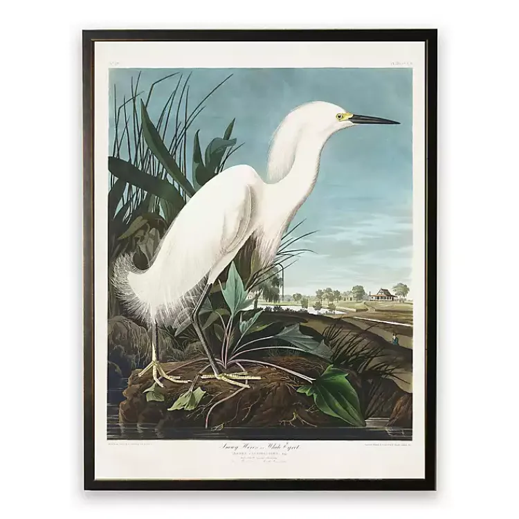 Framed Art-Kirklands Home Vintage White Egret Bookplate Framed Art Print