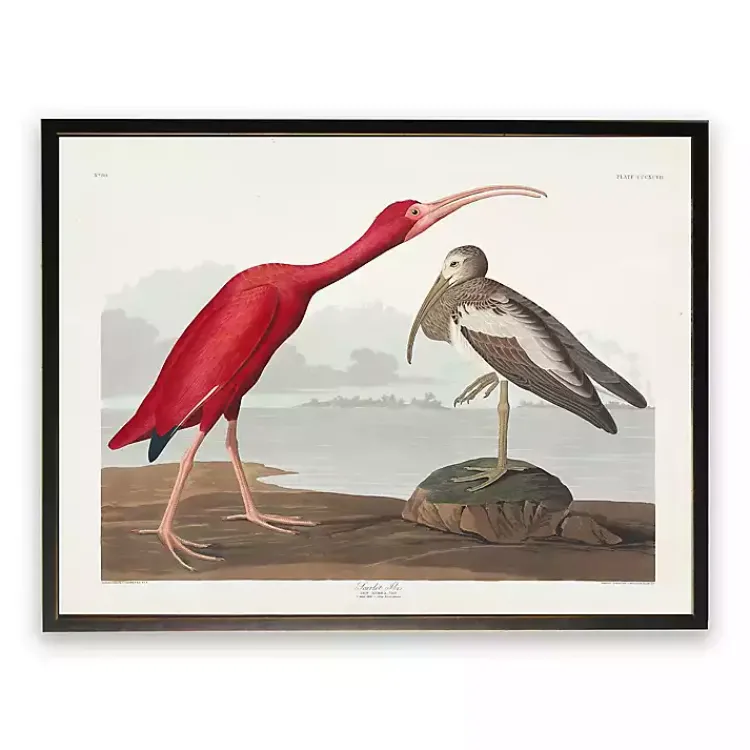 Framed Art-Kirklands Home Vintage Waterbird Pair Bookplate Framed Art Print