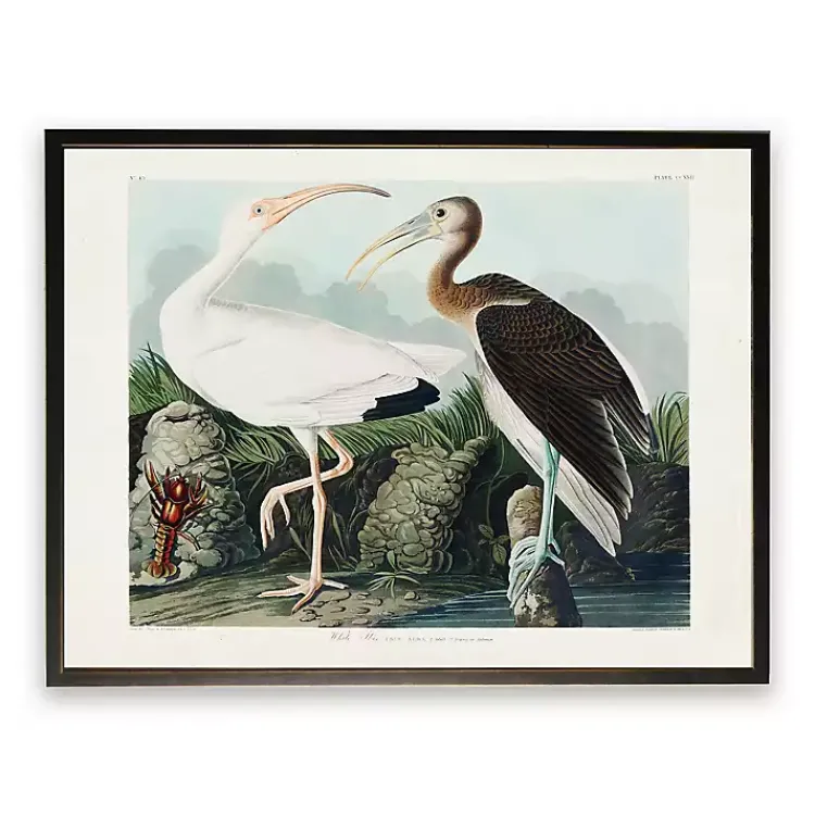 Framed Art-Kirklands Home Vintage White Ibis Pair Framed Art Print