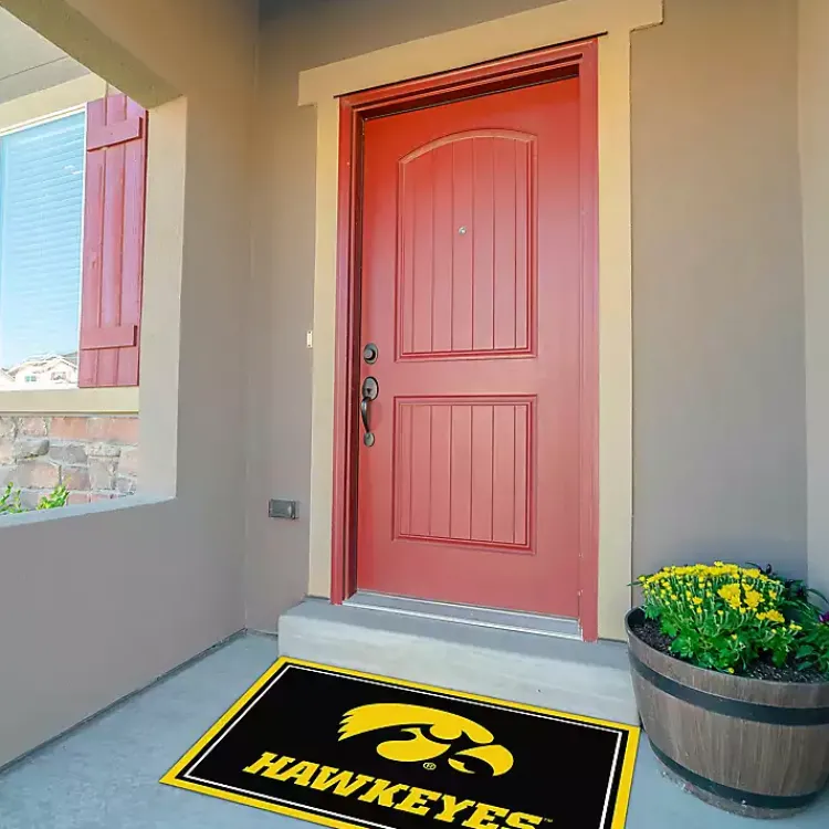 Area Rugs-Kirklands Home University of Iowa Area Rug, 3x4