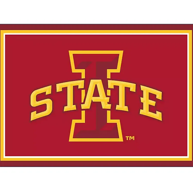 Area Rugs-Kirklands Home Iowa State University Area Rug, 3x4