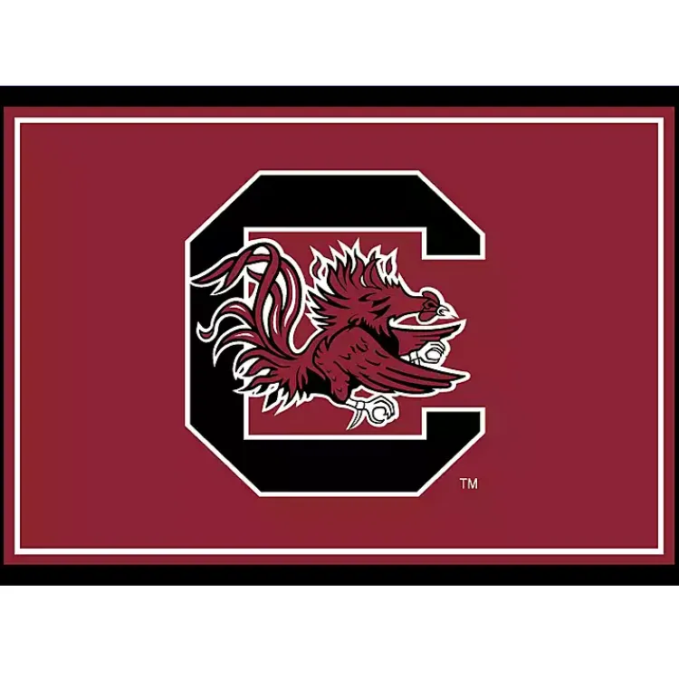 Area Rugs-Kirklands Home University of South Carolina Area Rug, 3x4