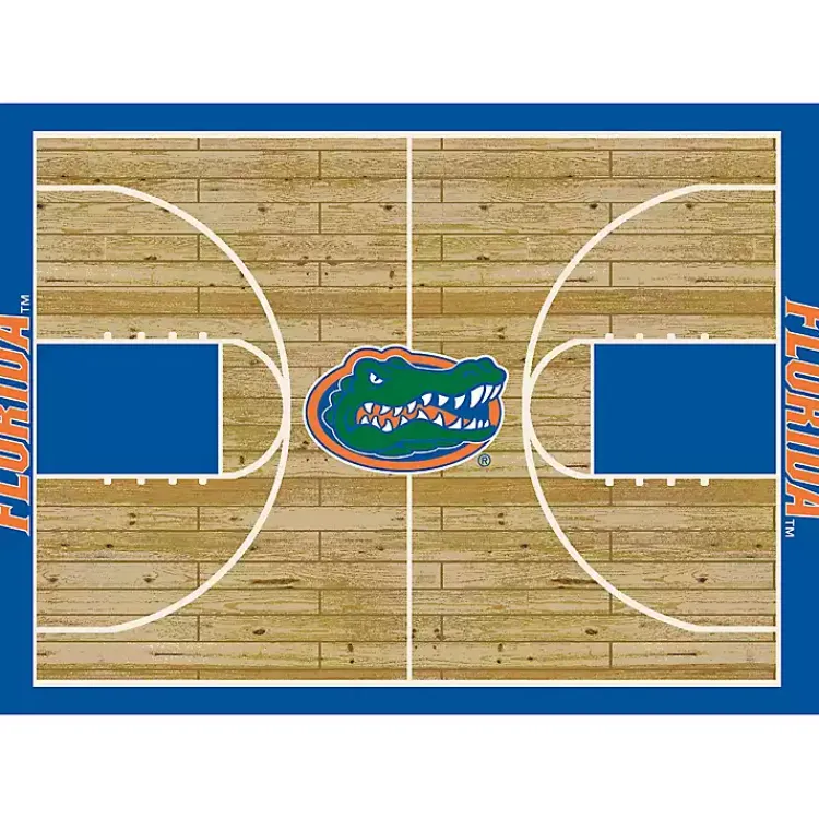 Area Rugs-Kirklands Home University of Florida Courtside Area Rug, 4x6