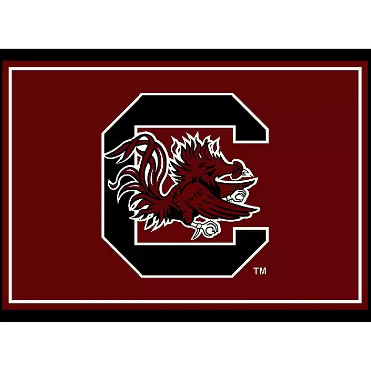 Area Rugs-Kirklands Home University of South Carolina Area Rug, 4x6 Red