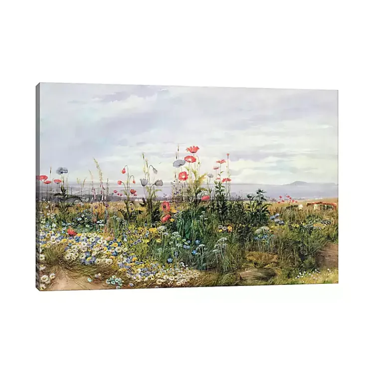 Canvas Art-Kirklands Home Wildflower With a View Canvas Art Print Multicolor
