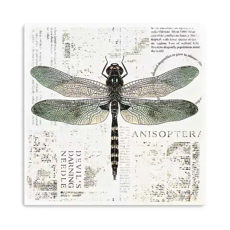 Canvas Art-Kirklands Home Green Dragonfly Canvas Art Print