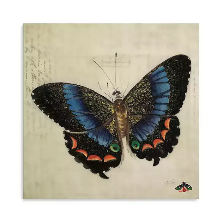 Canvas Art-Kirklands Home Blue Vintage Butterfly Canvas Art Print