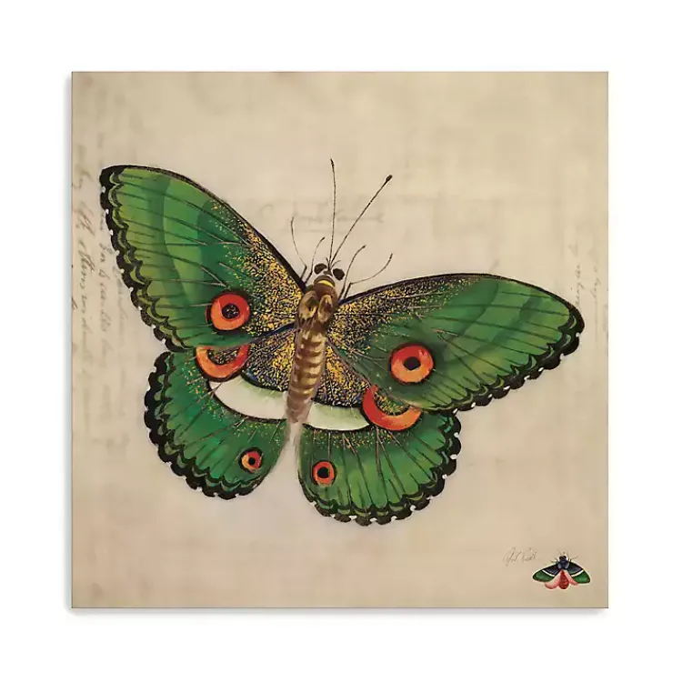 Canvas Art-Kirklands Home Green Vintage Butterfly Canvas Art Print