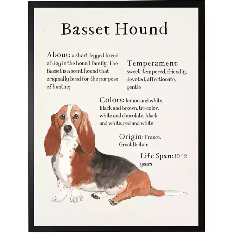 Wall Quotes & Signs-Kirklands Home Basset Hound Facts Framed Wall Plaque