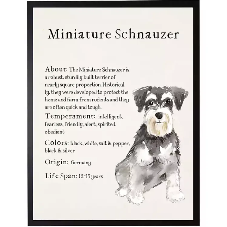 Wall Quotes & Signs-Kirklands Home Miniature Schnauzer Facts Framed Wall Plaque