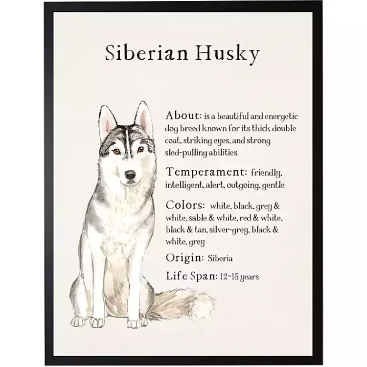Wall Quotes & Signs-Kirklands Home Siberian Husky Facts Framed Wall Plaque