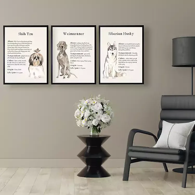 Wall Quotes & Signs-Kirklands Home Siberian Husky Facts Framed Wall Plaque