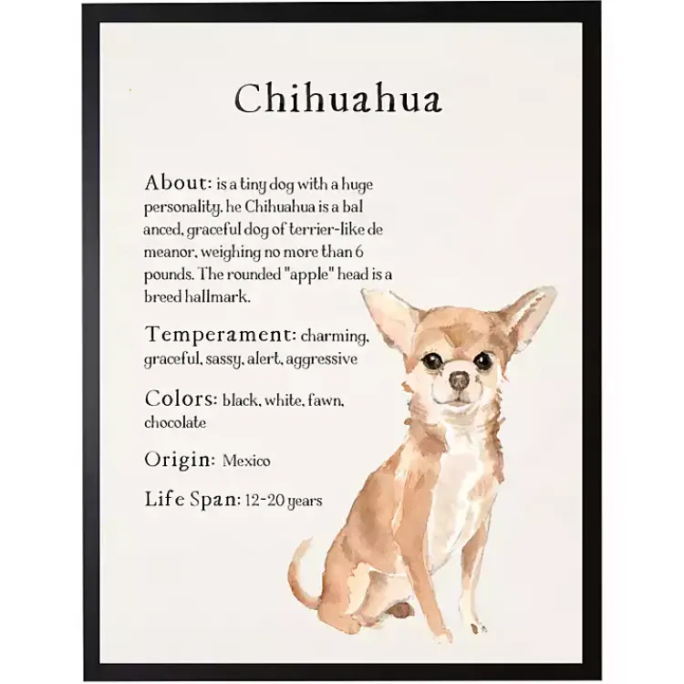 Wall Quotes & Signs-Kirklands Home Chihuahua Facts Framed Wall Plaque
