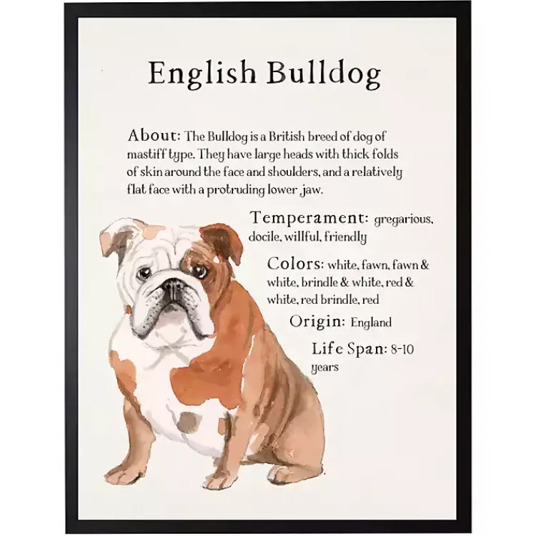 Wall Quotes & Signs-Kirklands Home English Bulldog Facts Framed Wall Plaque