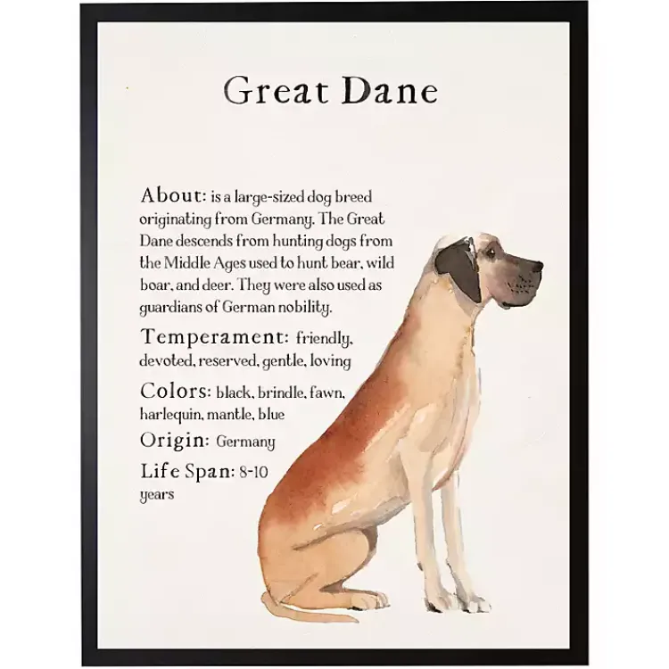 Wall Quotes & Signs-Kirklands Home Great Dane Facts Framed Wall Plaque