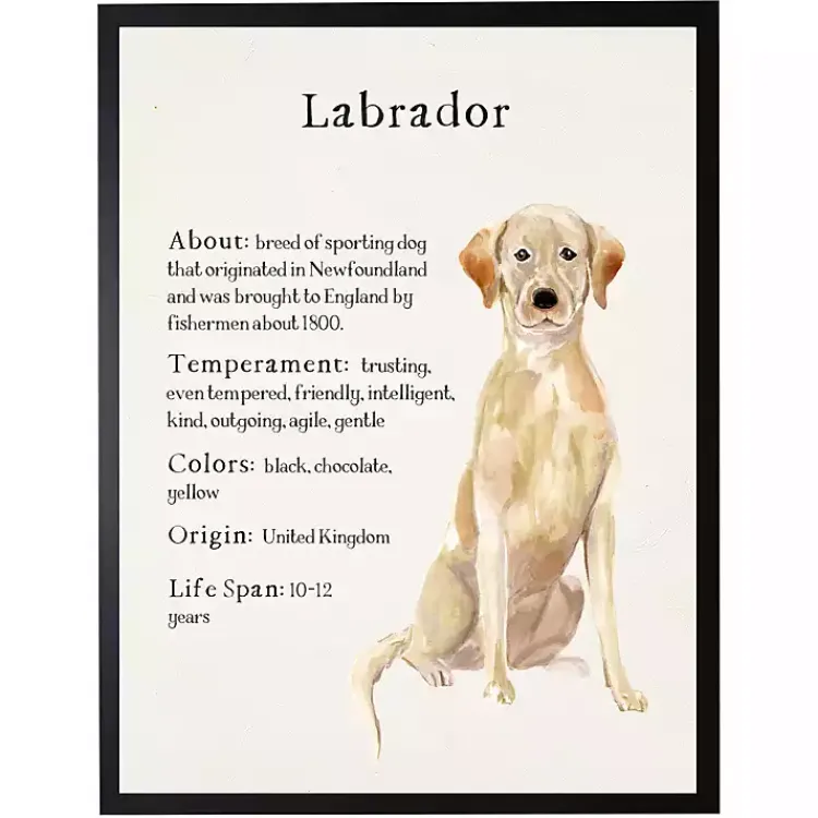 Wall Quotes & Signs-Kirklands Home Yellow Labrador Facts Framed Wall Plaque