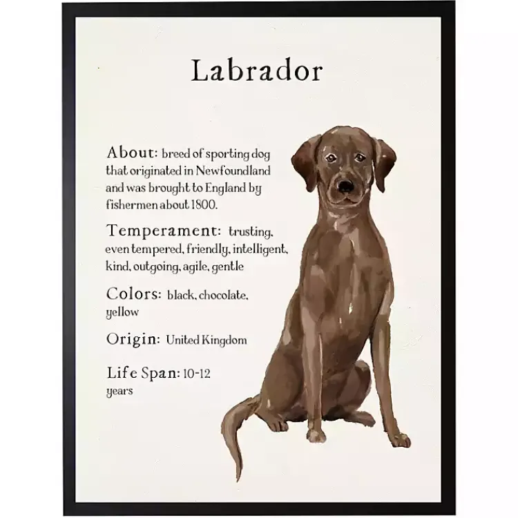 Wall Quotes & Signs-Kirklands Home Chocolate Labrador Facts Framed Wall Plaque