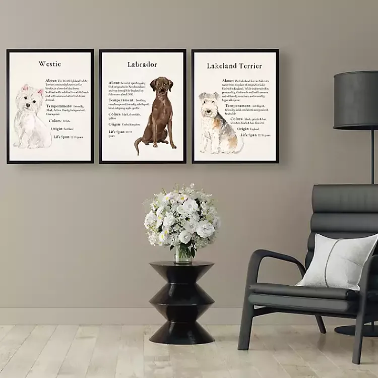 Wall Quotes & Signs-Kirklands Home Chocolate Labrador Facts Framed Wall Plaque